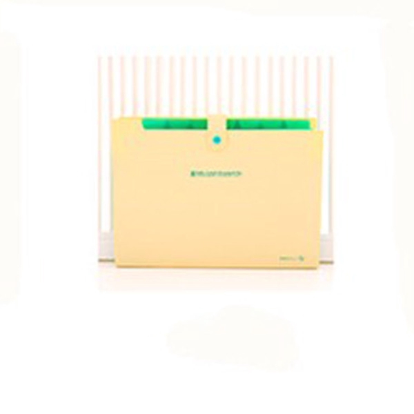 Expandable Documents File Folder Organizer 8-Pocket Folders A4 Size Snap Button Closure