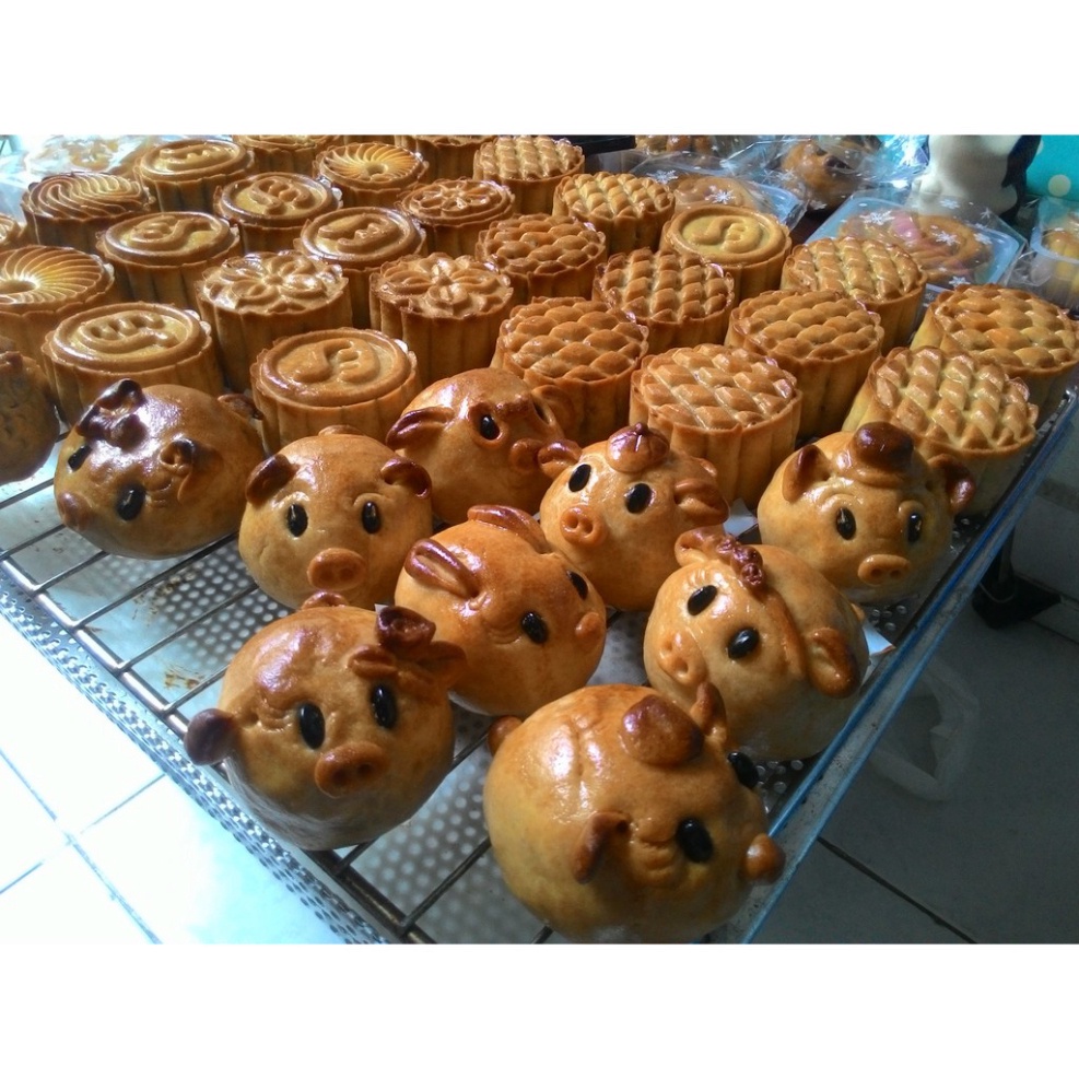 [Sỉ thùng 10kg] Bột mì Hoa Ngọc Lan (Bột mì đa dụng) chuyên làm BÁNH BAO, BÁNH MÌ, TRUNG THU, TẨM BỘT CHIÊN