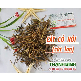 Cây Cứt Lợn Hoa Tím 100Gr (Tươi - Khô)
