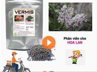 Phân trùn quế bón lan 200g