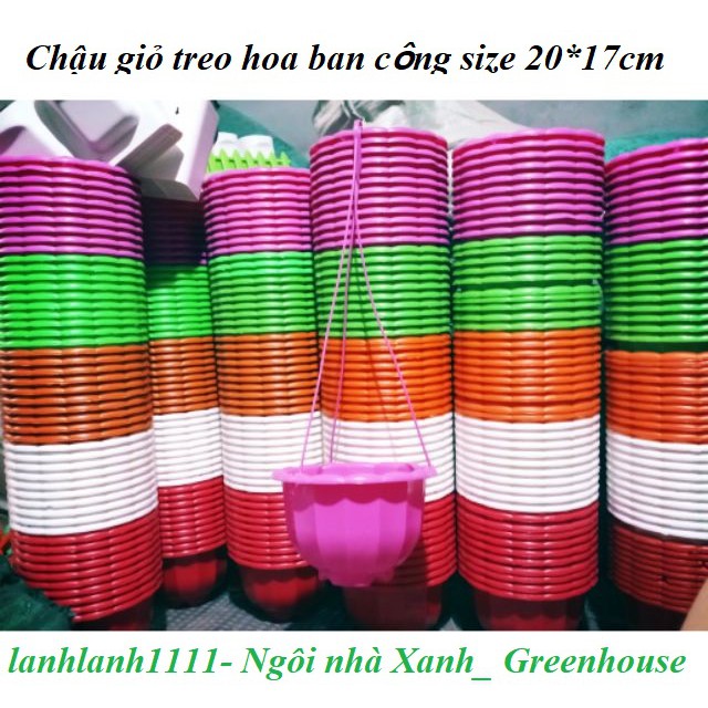 Chậu treo ban công, giỏ treo lan, trồng cây, hoa ban công hình quả bí ngô kích thước 20*17cm bền đẹp hàng công ty loại 1