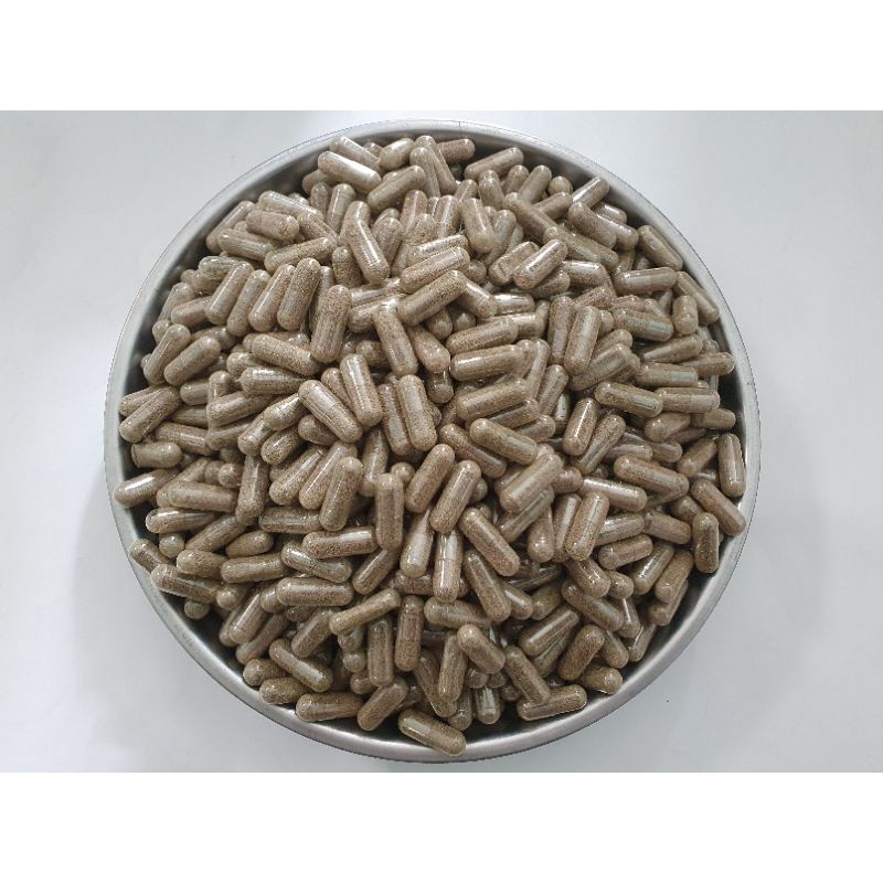 Artemia Nước Ngọt Dạng Viên Con Nhộng Nuôi Sinh Khối