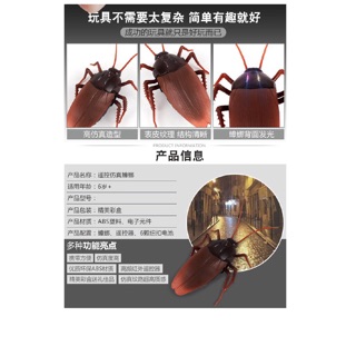Gián Điều Khiển Từ Xa