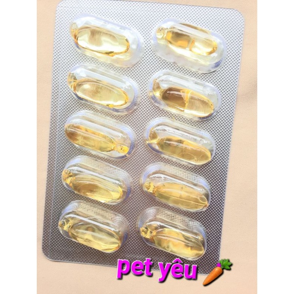 Viên dầu cá Yee  FRESHIP giúp đẹp lông và da hamster nhím sóc bay