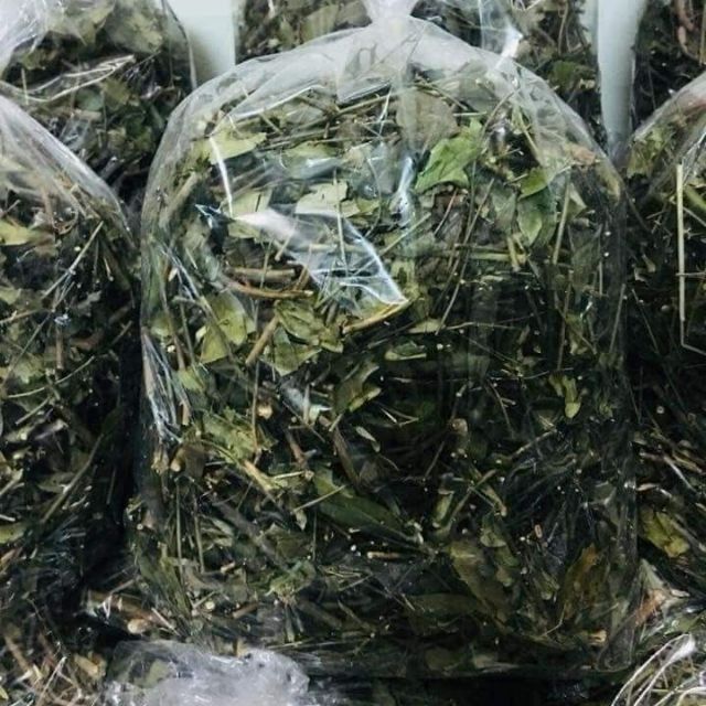 Chè vằng rừng 1 kg