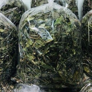 Chè vằng rừng 1 kg
