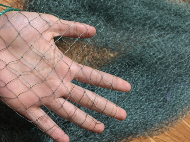 Lưới chim dù giật úp