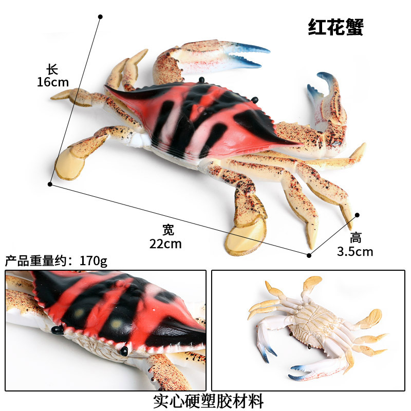 Mô Hình Rùa Biển Đồ Chơi Cho Bé