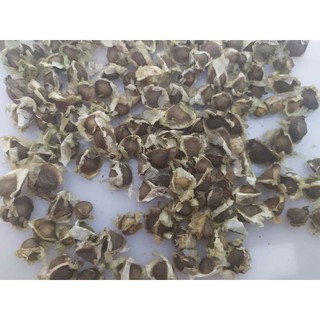 Hạt chùm ngây khô 1kg