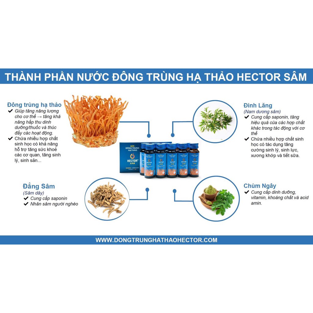 Combo Đông trùng hạ thảo Hector Sâm - Giúp tăng cường sức khỏe sinh lý cho cả Nam/nữ ( Combo 20 chai x 50ml )