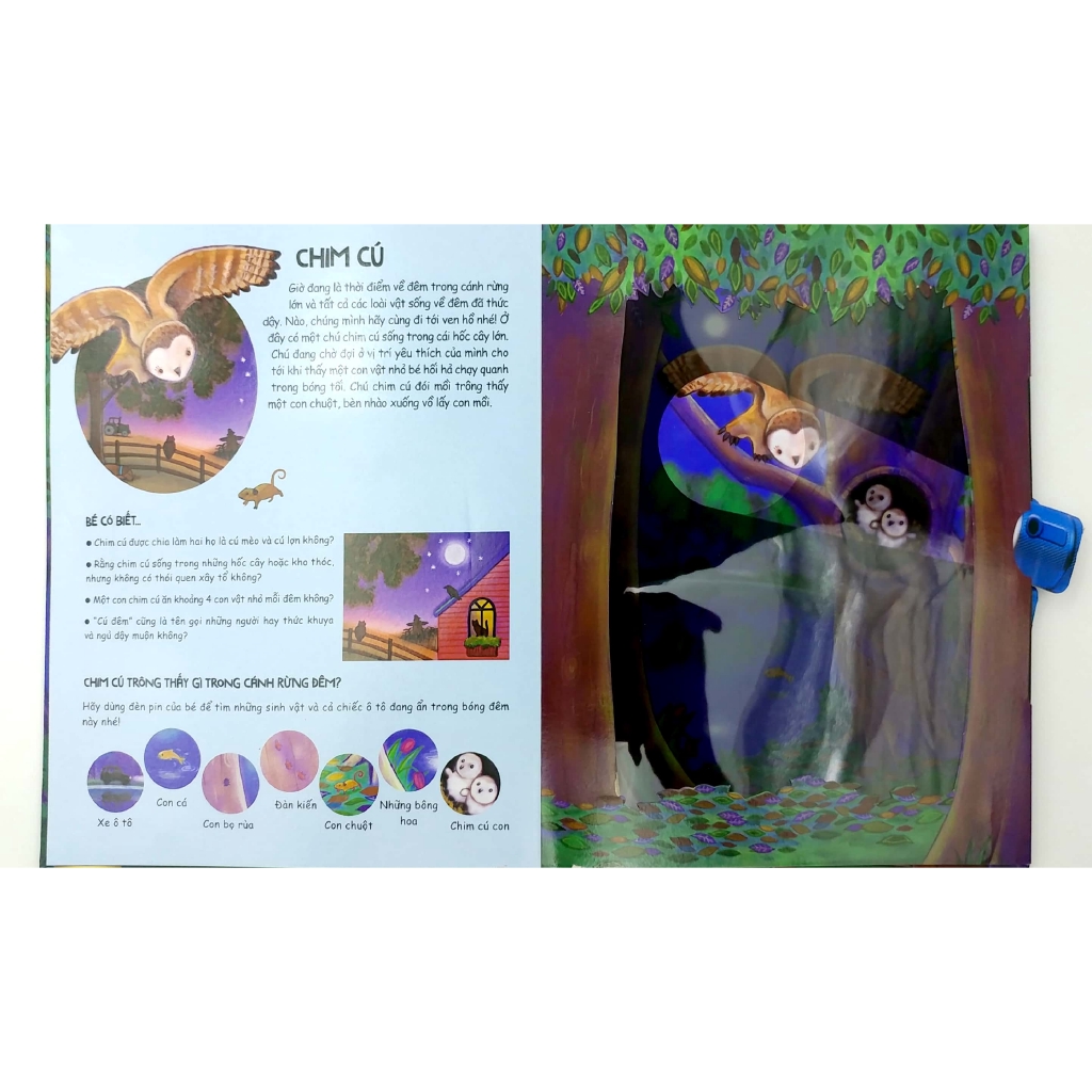 Sách - Đèn Pin Khám Phá - Moonlight Animals - Động Vật Dưới Ánh Trăng