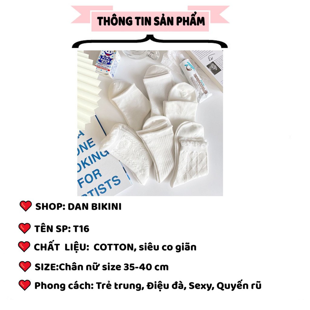 Tất Nữ Đẹp dệt kim trắng tinh cotton được chọn màu mẫu T16