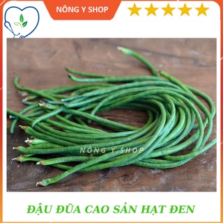Gói 20g - túi zip 5 hạt - giống đậu đũa cao sản hạt đen rạng đông rado 667