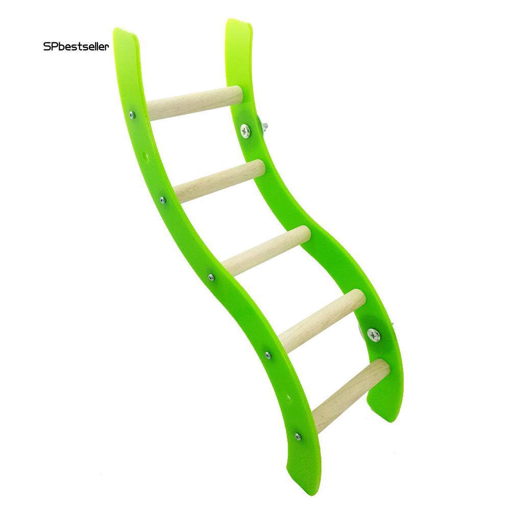 Cầu thang gợn sóng bằng nhựa acrylic gắn lồng vẹt đầy tiện lợi