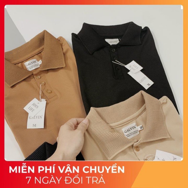 Áo polo trơn cho nam