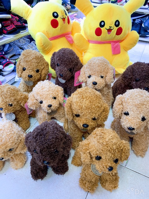 Gấu bông chó Poodle ngồi