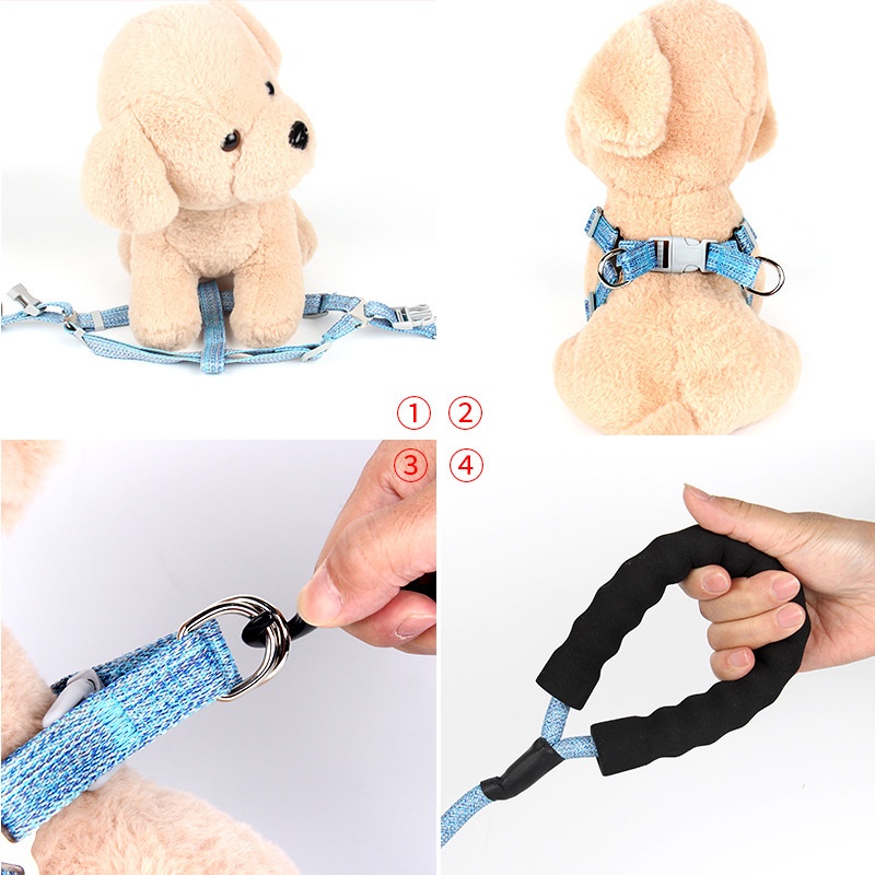 Dây dắt thú cưng, dây dắt chó mèo đi dạo