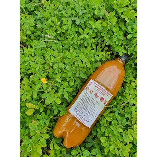  Cốt gừng nghệ gấc hạ thổ 6 tháng handmade 