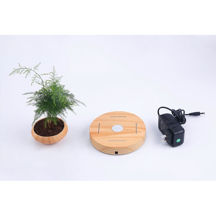 Cây bonsai bay lơ lửng vân gỗ Đen - Home & Garden