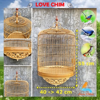 Lồng chim Chòe Lửa, Chòe Than, Chào Mào, Lồng Chòe Lửa - Chòe Than đẹp LOVECHIM(white-rumped shama cage)