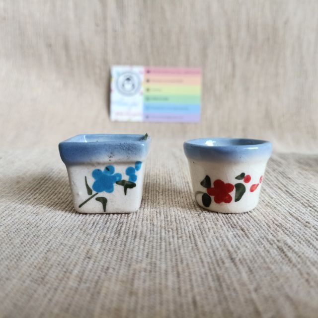 Chậu hoa thái mini