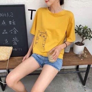Áo thun mèo mặt ngu combo