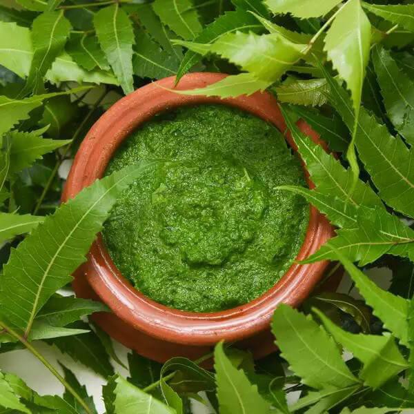 Bột Lá Neem Nguyên Chất Aroma Works Neem Leaf Powder