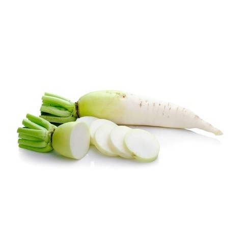 Hạt giống củ cải Nhật Bản 100h