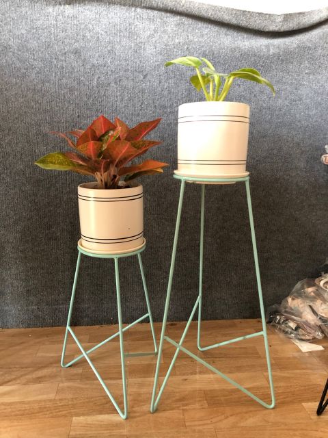 Kệ để cây cảnh ✨ PHONG CÁCH ÂU MỸ ✨  SƠN TĨNH ĐIỆN , SANG TRỌNG cho nội thất hiện đại