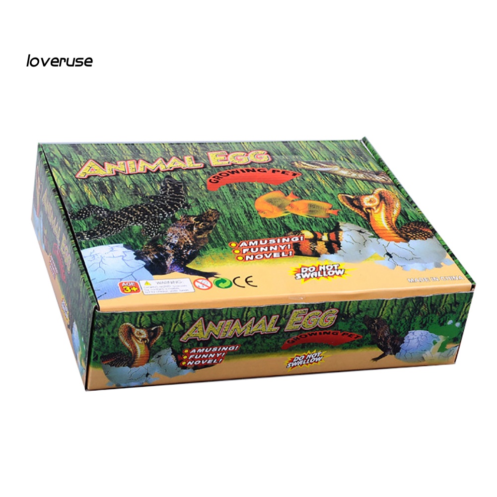 Trứng Khủng Long Đồ Chơi Nở Trong Nước