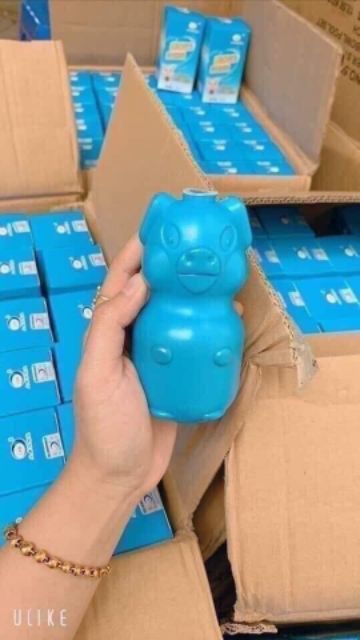 Thả bồn cầu lợn