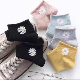 Tất nữ hoa cúc siêu cute 5 màu
