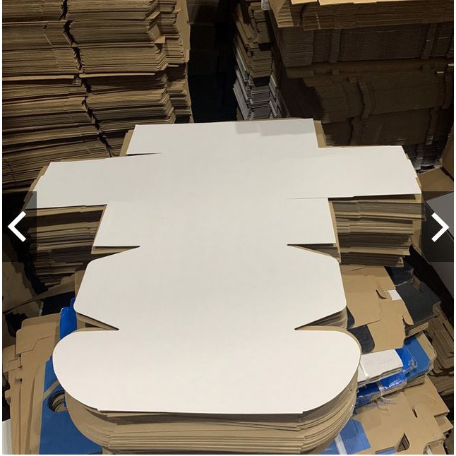 Freeship - 10 HỘP CARTON NẮP GÀI 21x13.5x10cm