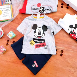 XD040. Bộ baby club mickey xám