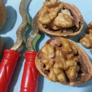 Combo 500gr óc chó Mỹ +500 gr đậu gà