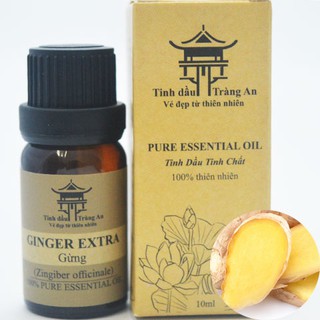 Tinh Dầu Gừng Ginger | 100% Thiên Nhiên Nguyên Chất | Khử Mùi - TINH DẦU TRÀNG AN