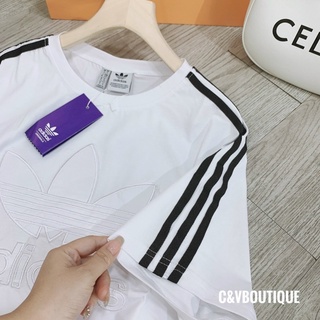 BỘ CTOON ADIDAS THÊU
