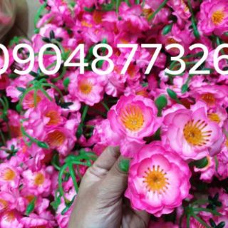 Hoa Đào Mai giả 1kg