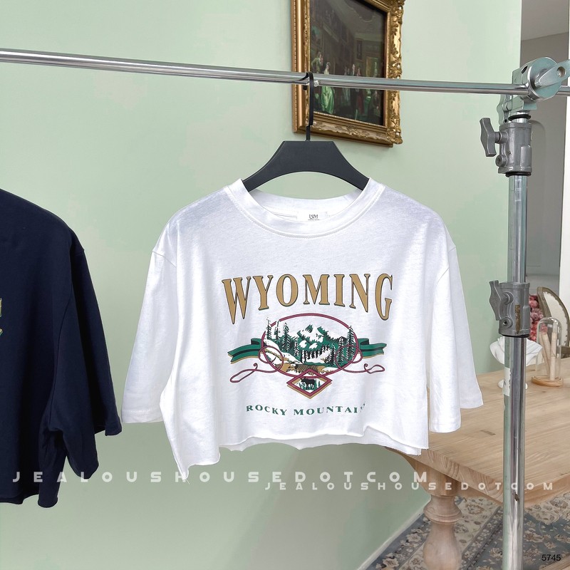 [Mã WASKT304 giảm 15% tối đa 30K đơn 99K] Áo croptop WYOMING 5745