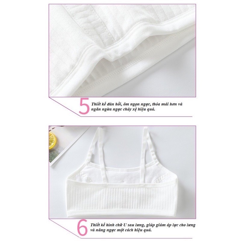 ÁO LÁ HỌC SINH KHÔNG MÚT DÀY DẴN HÀNG ĐẸP CHO BÉ ĐI HỌC #