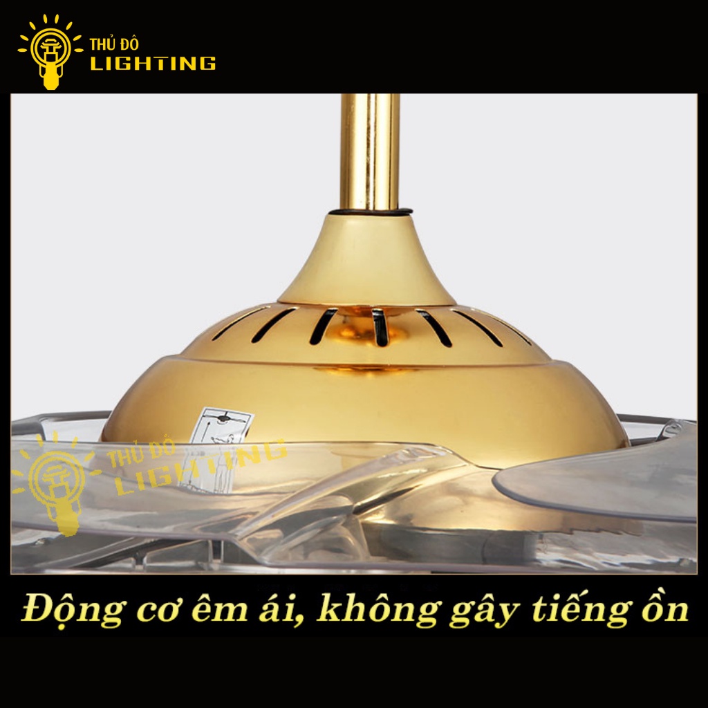 Quạt Trần Đèn Chùm Phòng Khách THỦ ĐÔ LIGHTING 3 Chế Độ Gió Và Ánh Sáng Điều Chính Từ Xa, Có Hẹn Giờ