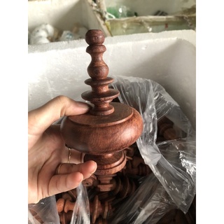 nậm cẩm lồng mào