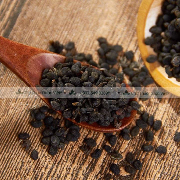 Phá Cố Chỉ 500g (Bổ Cốt Chỉ)