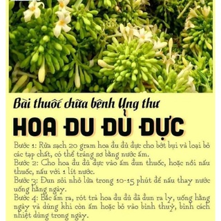 Hoa Đu Đủ Đực Khô