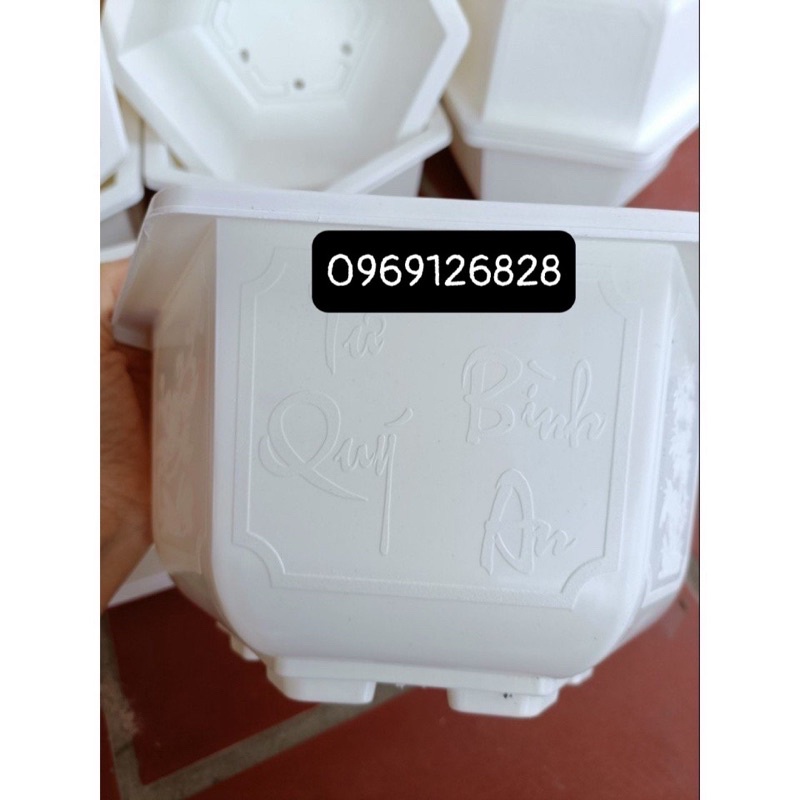 Chậu nhựa lục giác trồng cây Bon sai màu trắng_ chậu tứ quý hàng dày đẹp _ảnh thật