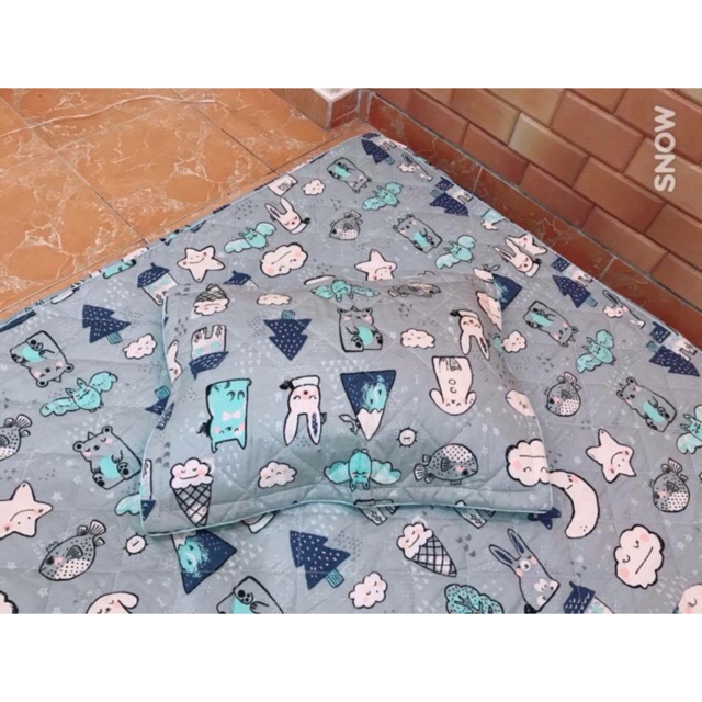 Vải thô mặt lụa thú xám