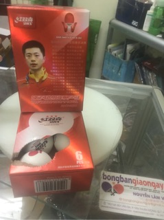 Bóng DHS hộp 6 quả