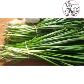HẠT HẸ LÁ - GÓI 1 GRAM
