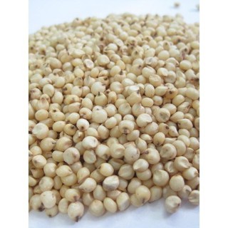 Hạt bobo (ý dĩ) loại ngon 100g LL244