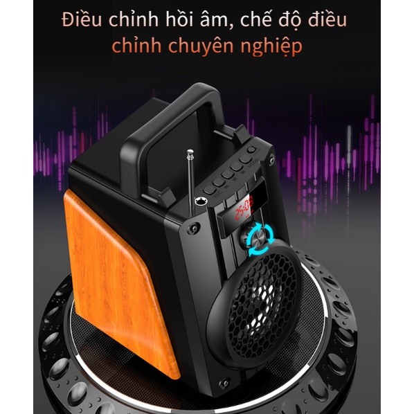 Loa Bluetooth Karaoke Không Dây (Micro Không Dây * 1) Hát Công Suất Lớn 20W + Điều Khiển Từ xa / Đầu Đọc Thẻ / Loa Gỗ